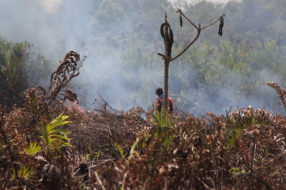 Hutan di Lereng Gunung Sumbing Terbakar Lagi, Kali Ini di Dua Lokasi