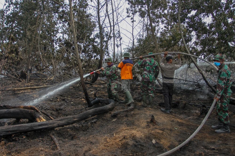 Puncak Kemarau, Potensi Kebakaran Hutan dan Lahan di Sulsel Meningkat