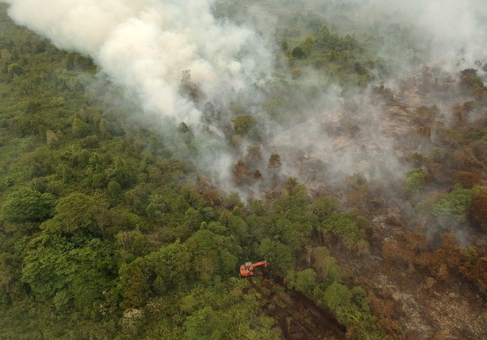 Mantan Kades di Muba Ditangkap karena Bakar Lahan Demi Tanam Cabai