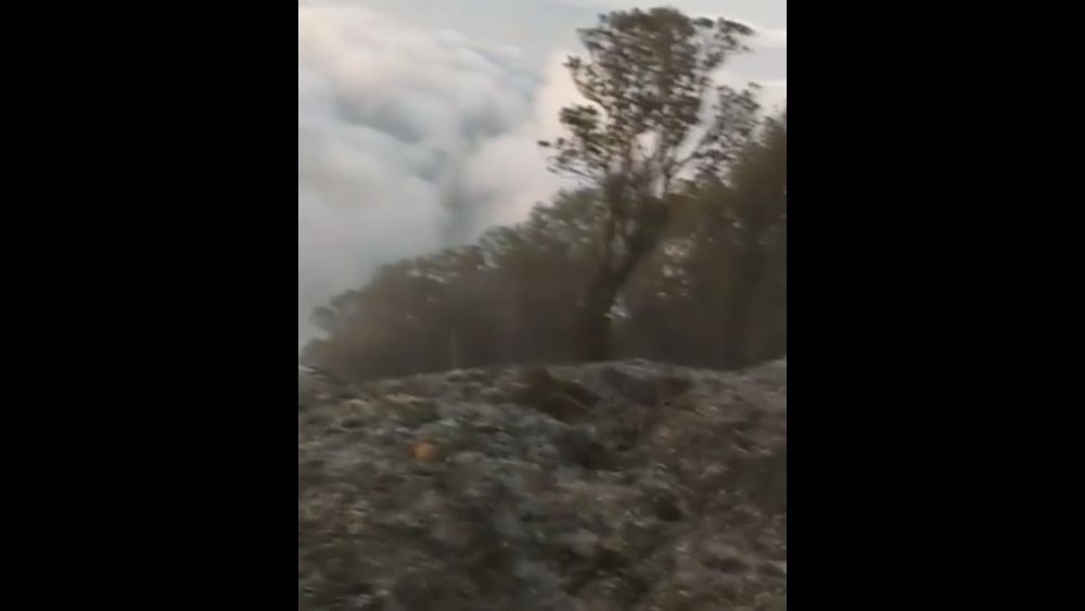 Penyebab Kebakaran Hutan Gunung Batukau Masih Misteri