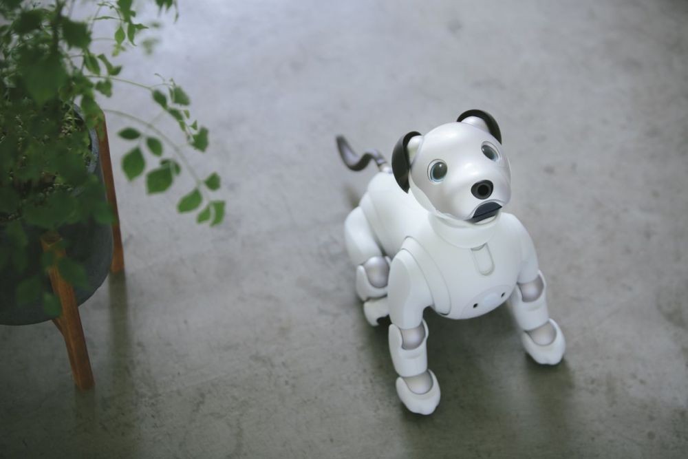 Sony Aibo, Sensasi Memelihara Robot Berbentuk Anjing yang Gemas Banget
