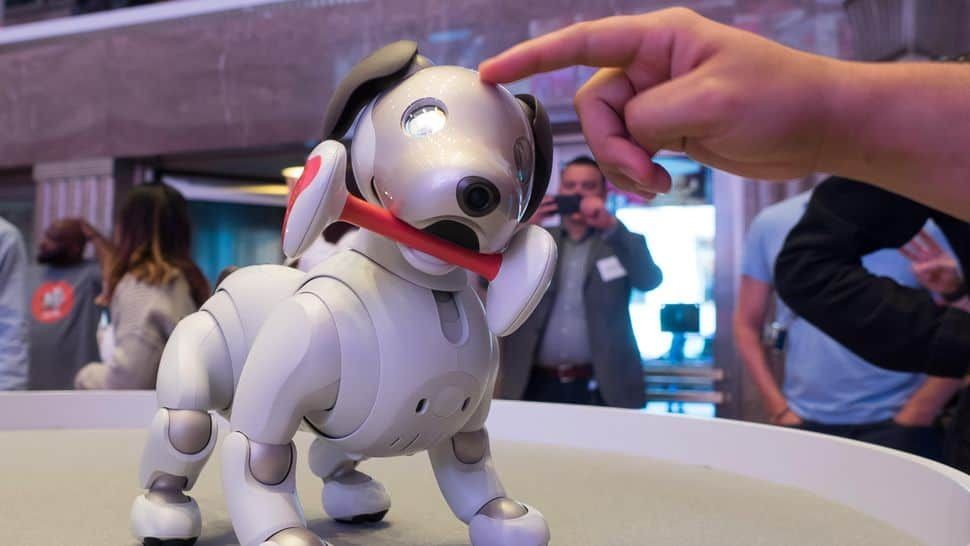 robot anjing aibo