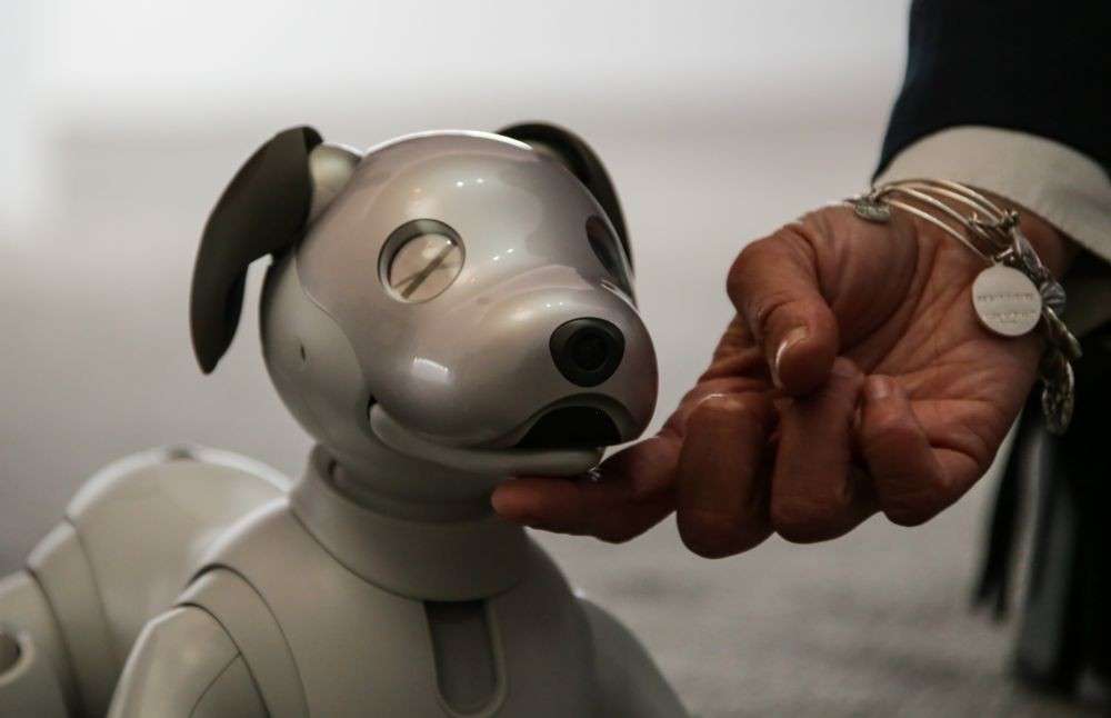 Sony Aibo, Sensasi Memelihara Robot Berbentuk Anjing Yang Gemas Banget