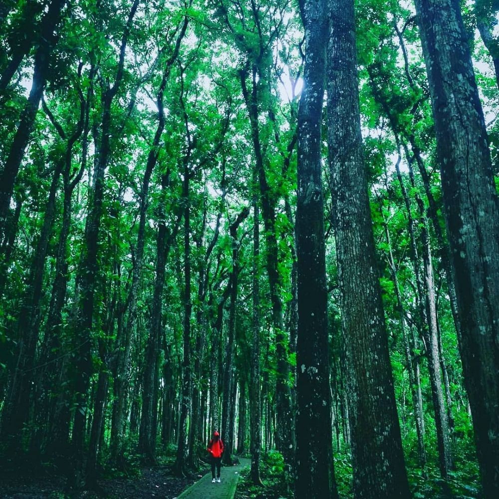 10 Tempat Wisata Bangkalan yang Bisa Jadi Rekomendasi Liburan Serumu