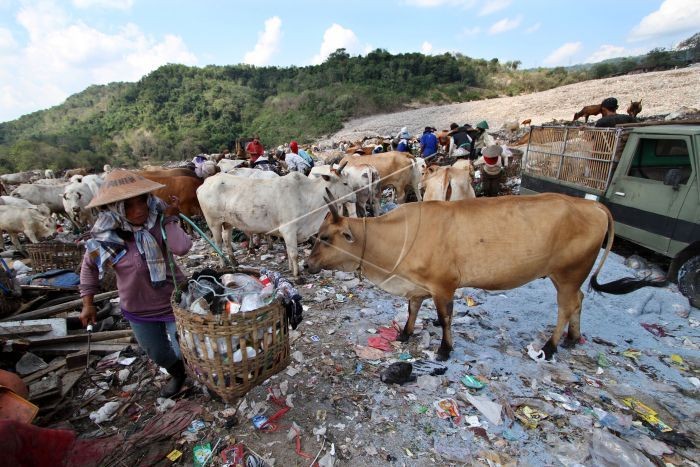 TPST Piyungan Ditutup, Sampah Pasar di Sleman Terpaksa Ditumpuk 