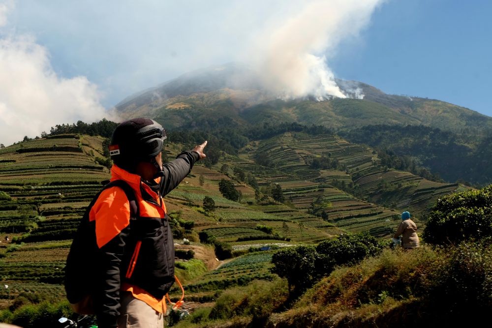 14 Hektare Lahan Hutan Sekaroh di Lombok Timur Hangus Terbakar