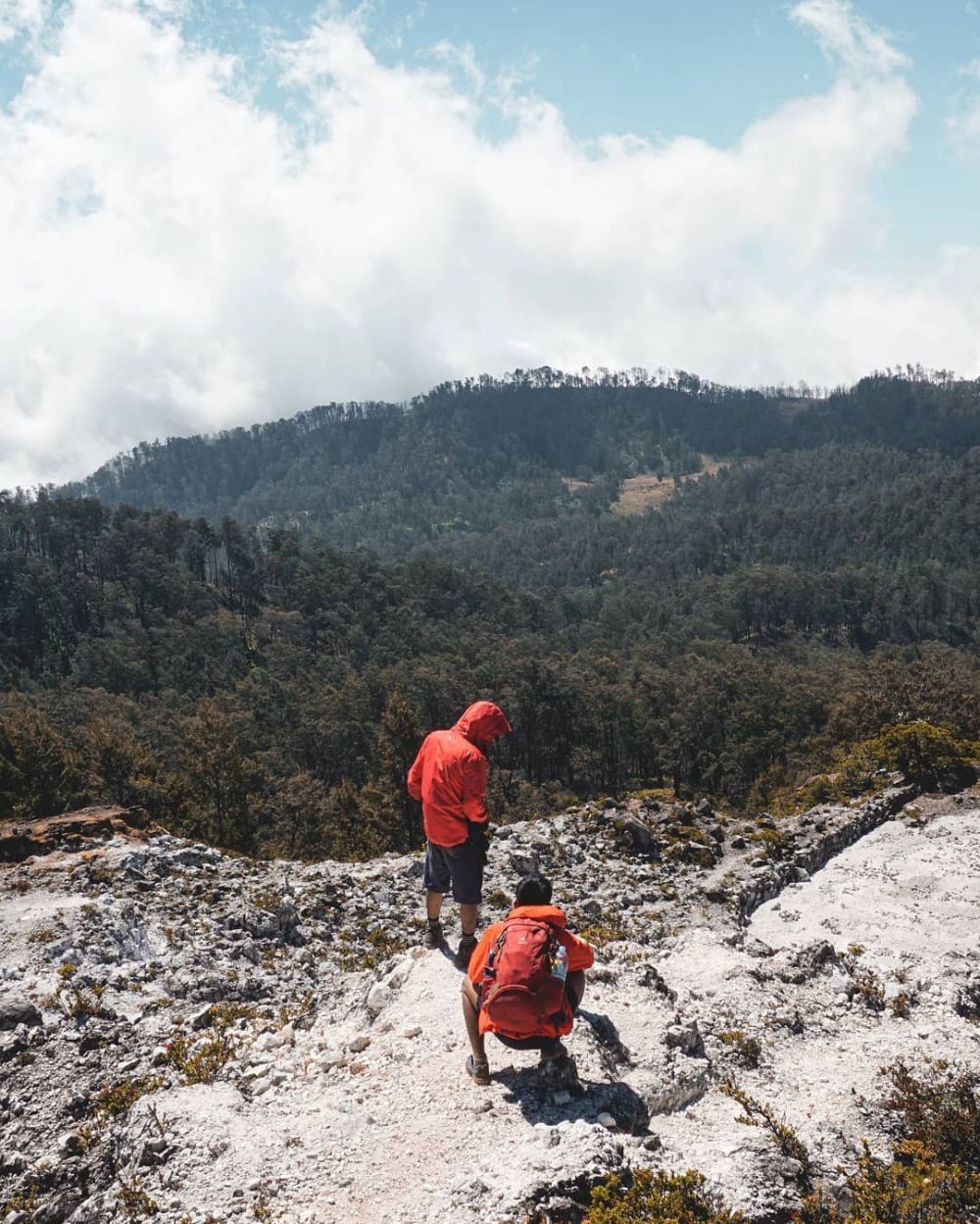 10 Rekomendasi Wisata di Probolinggo yang Bikin Pengin Cepat Liburan