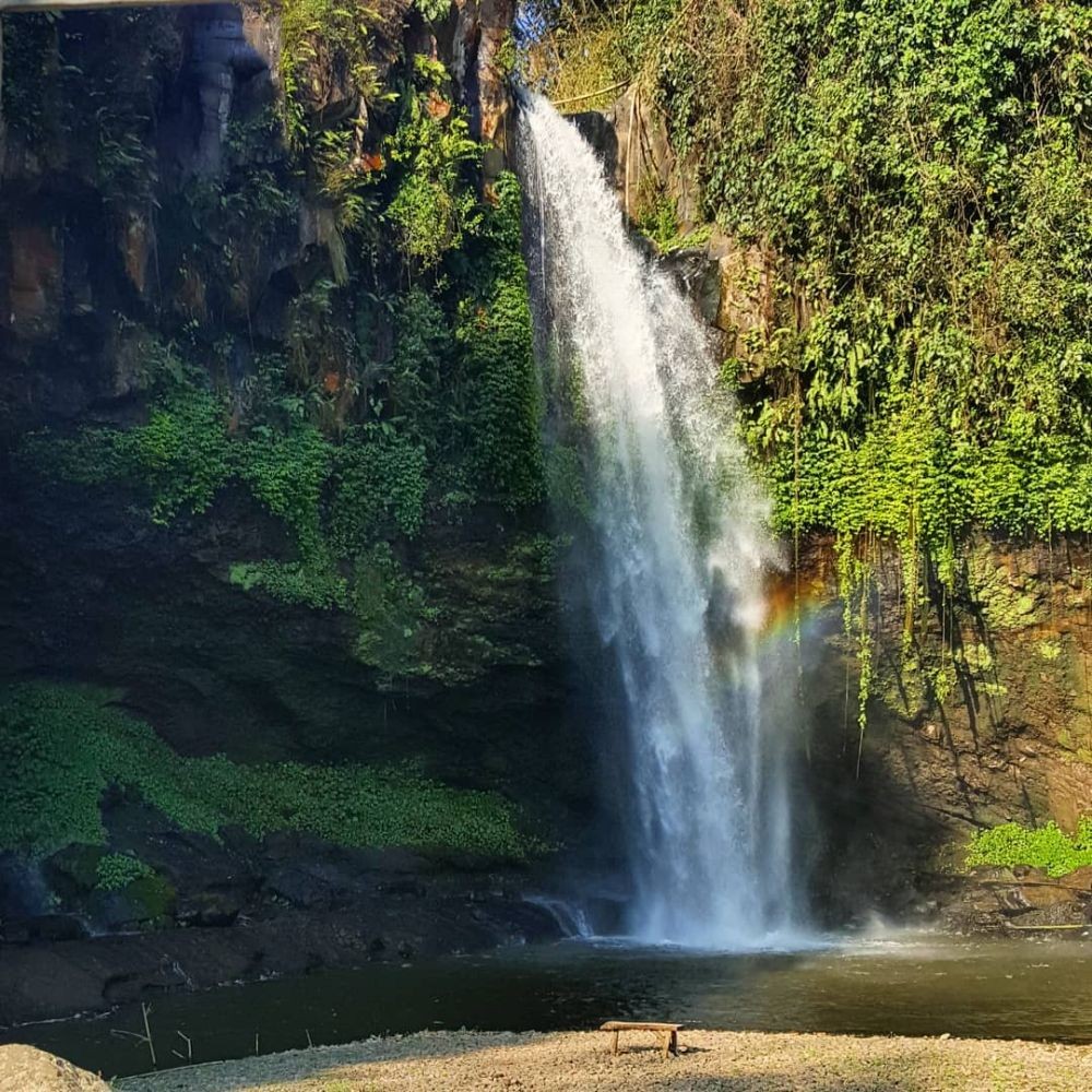 10 Rekomendasi Wisata di Probolinggo yang Bikin Pengin Cepat Liburan