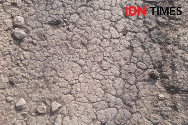 BPBD Cari Sumber Air di 10 Kabupaten Langganan Kekeringan di Jatim