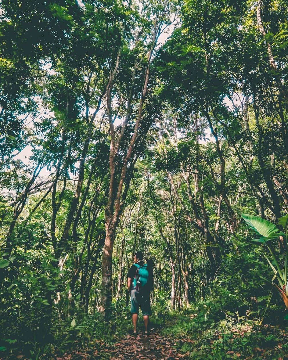 10 Rekomendasi Tempat Wisata Keren Di Bojonegoro Untuk