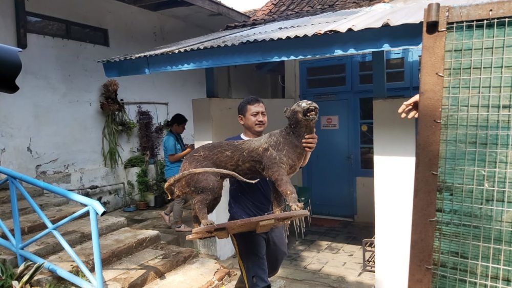 Susi Pudjiastuti Tawarkan Bantuan Rawat Rusa Semarang Zoo