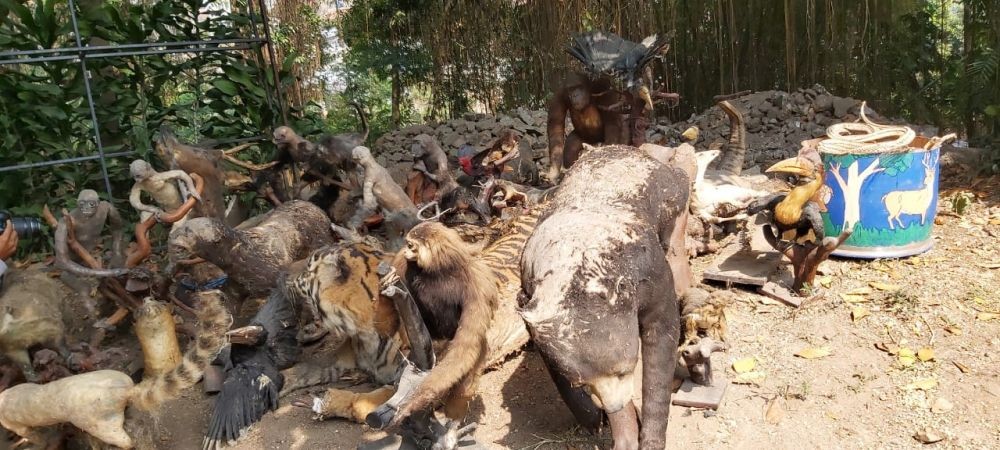 263 Hewan Langka yang Diawetkan di Kebun Binatang Bandung Dimusnahkan
