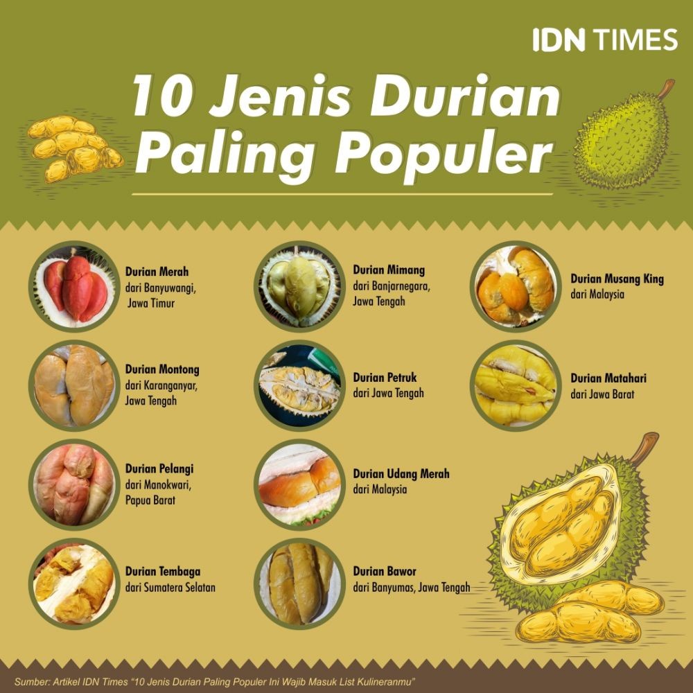 10 Jenis Durian Paling Populer Ini Wajib Masuk List Kulineranmu