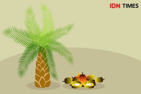 Terus Dikembangkan, B35 Masih Perlu Bahan Aditif Khusus