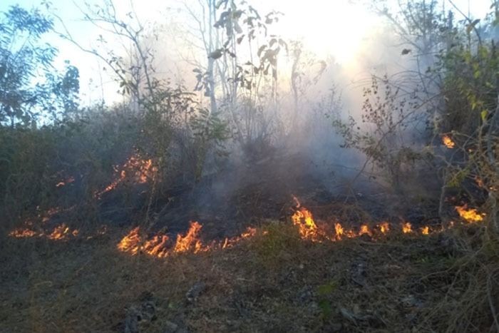 Kebakaran Hutan dan Lahan di Maros Menjalar Dekat Kawasan Pemukiman