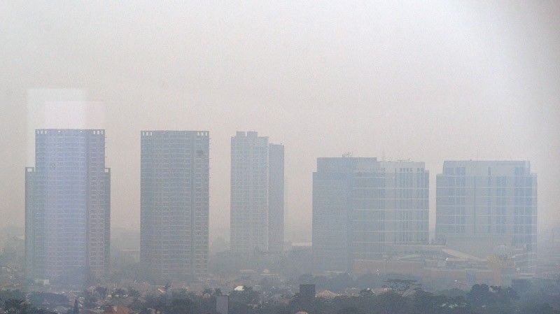 Kaltim Satu-Satunya di Indonesia yang Mendapat Program Penurunan Emisi