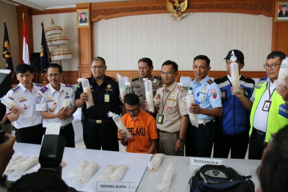 Bea Cukai Bali Gagalkan Penyelundupan 17 Ribu Bayi Lobster