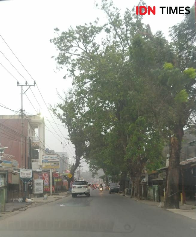 Kabut Asap Kepung Palembang, Warga Diimbau Pakai Masker & Banyak Minum