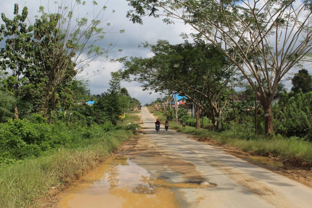 Ibu Kota Pindah, Harga Tanah di Penajam Paser Utara Meroket
