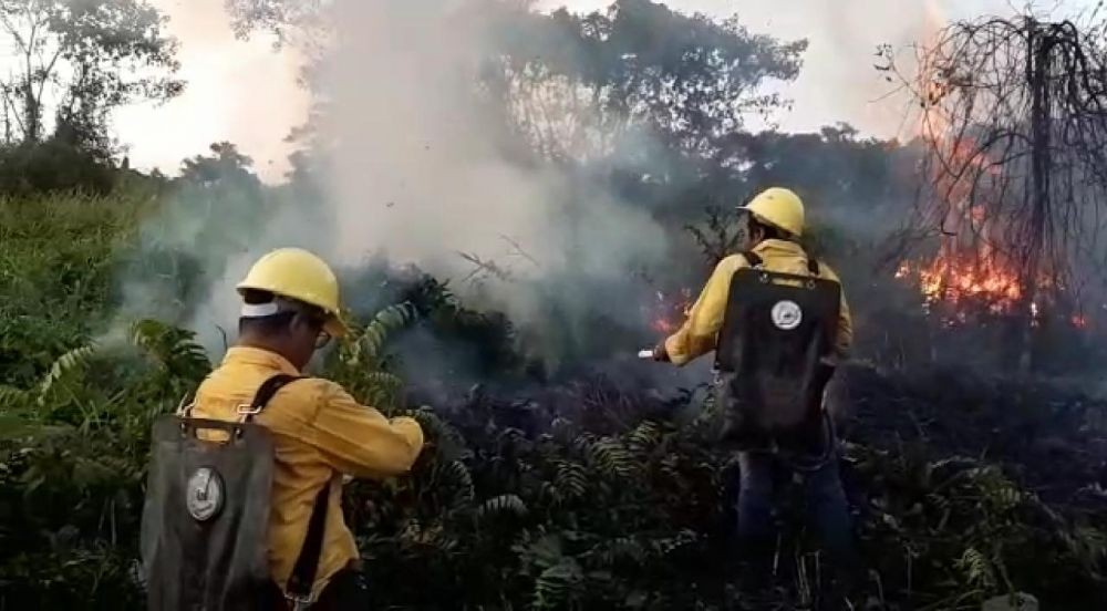 Tersangka Kebakaran Hutan Bertambah Jadi 118 Orang dan 5 Korporasi