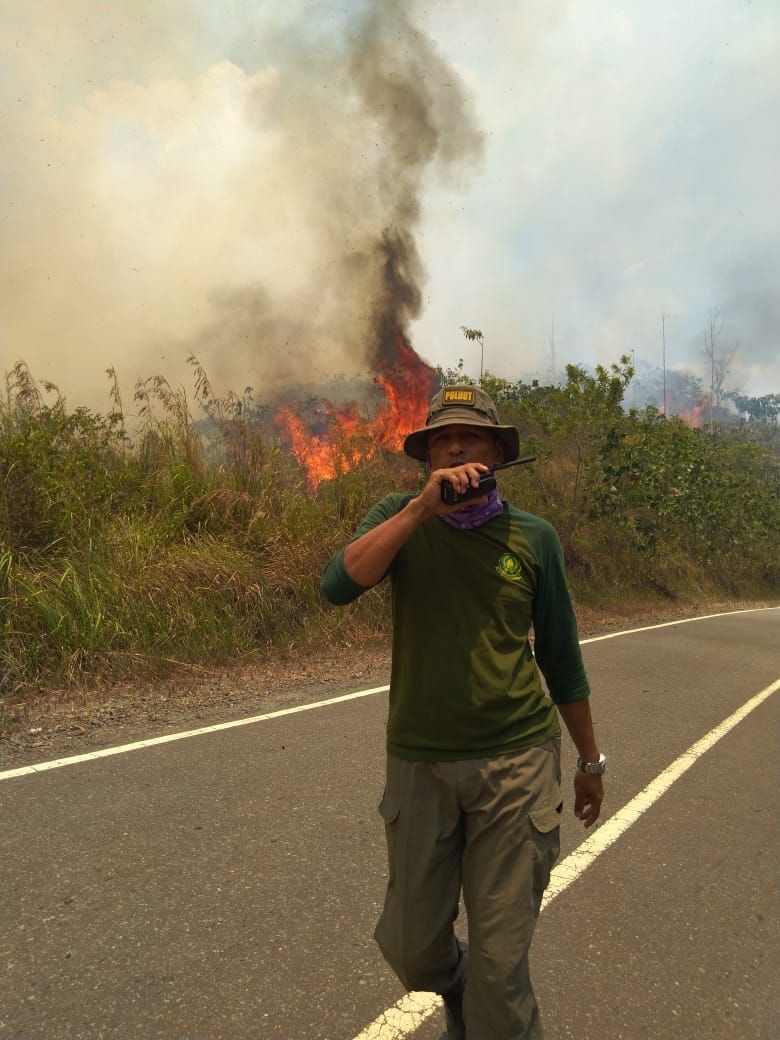 Kaltim Bentuk Masyarakat Peduli Api untuk Antisipasi Kebakaran Hutan