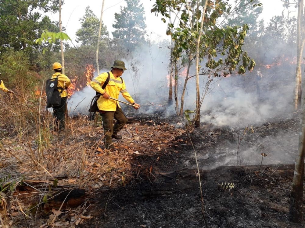 Kebakaran Hutan di Kaltim Masih Terkendali