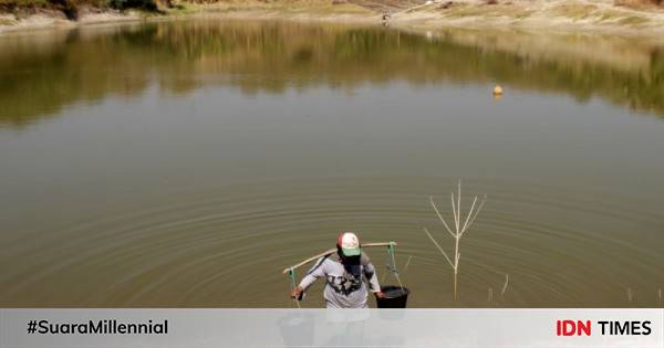 Enam Kabupaten Di NTT Berstatus Siaga Darurat Kekeringan