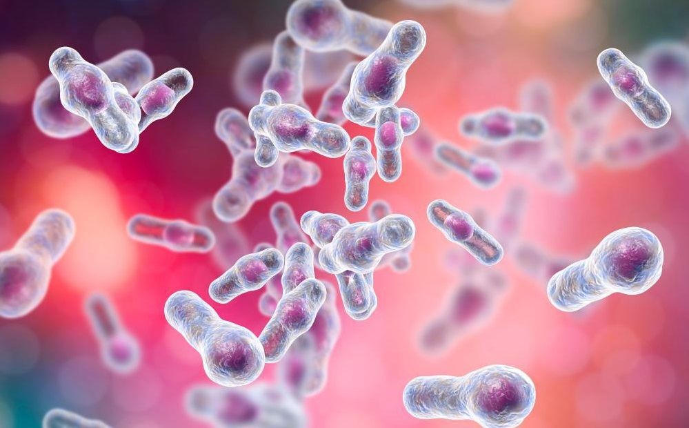 Bengawan Solo Tercemar Bakteri E Coli, DLHK Duga dari Limbah Ternak