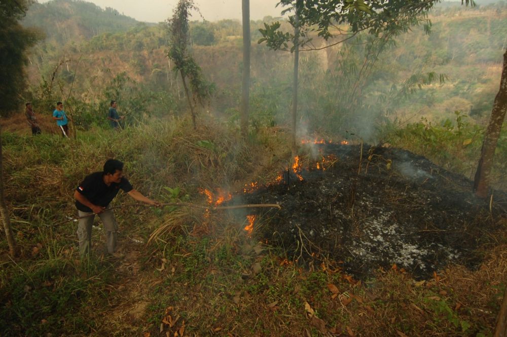 Karhutla Jateng, Data BNPB 2.958 Hektar Hutan dan Lahan Terbakar