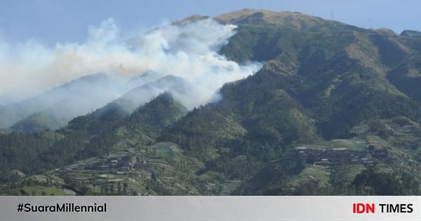 Kebakaran Di Hutan Gunung Merbabu Meluas Sampai Ke Puncak