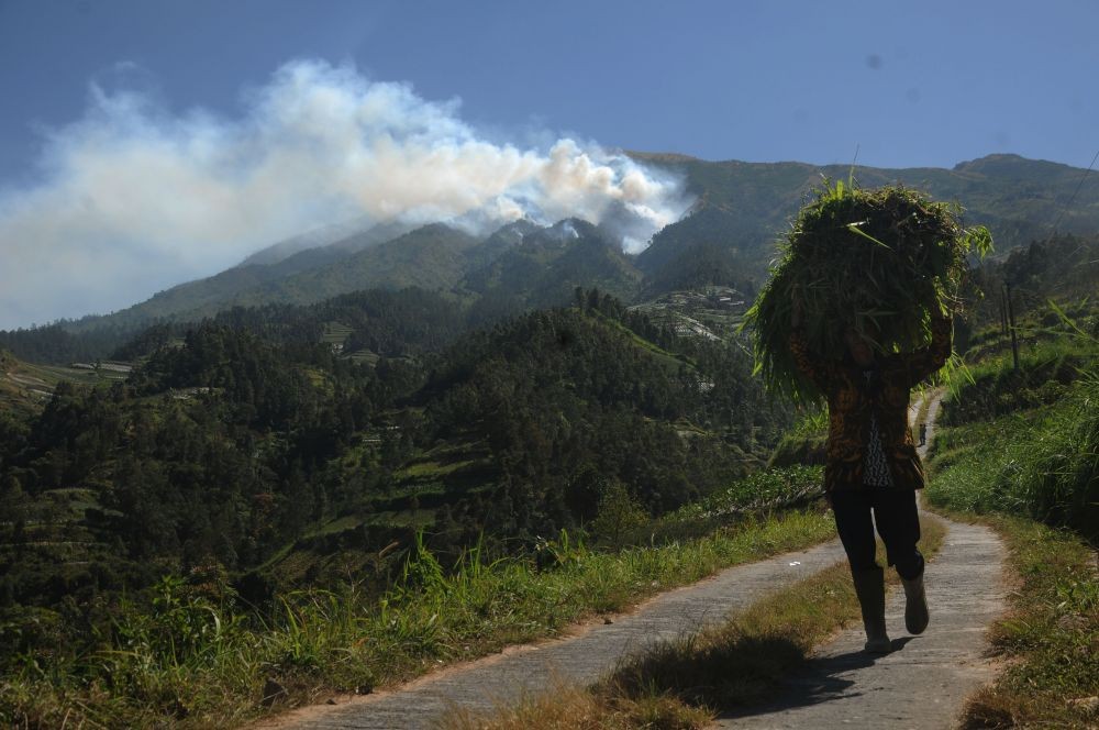 Kebakaran di Hutan Gunung Merbabu Meluas Sampai ke Puncak
