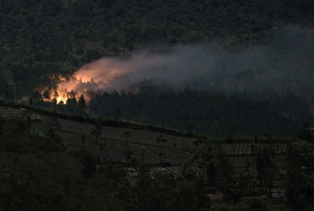 Kebakaran Gunung Slamet, Warga Gunakan Ranting Basah Padamkan Api