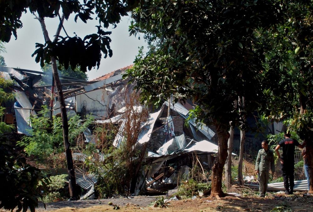 Terancam Punah, BKSDA Tak Punya Data Populasi Kukang di Lampung