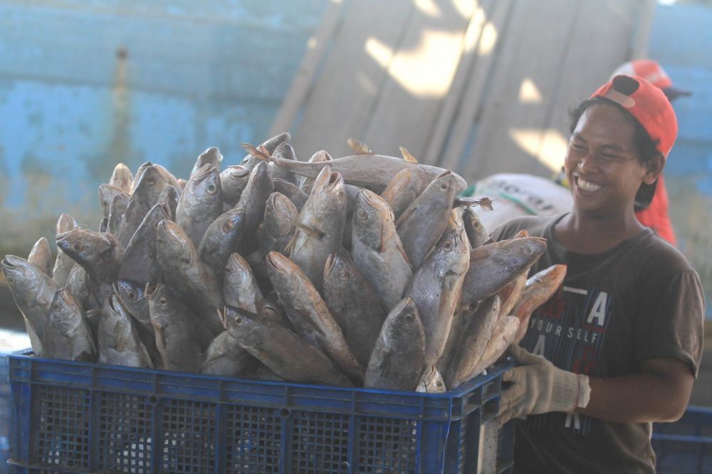 8,3 Ton Ikan Kakap Campuran Pempek di Palembang Mengandung Formalin
