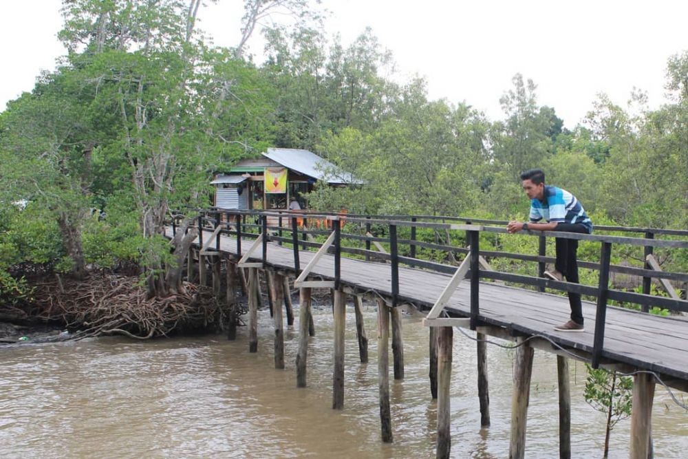 10 Destinasi Wisata Terbaik di Riau, Surganya Wisata Hutan di Sumatra