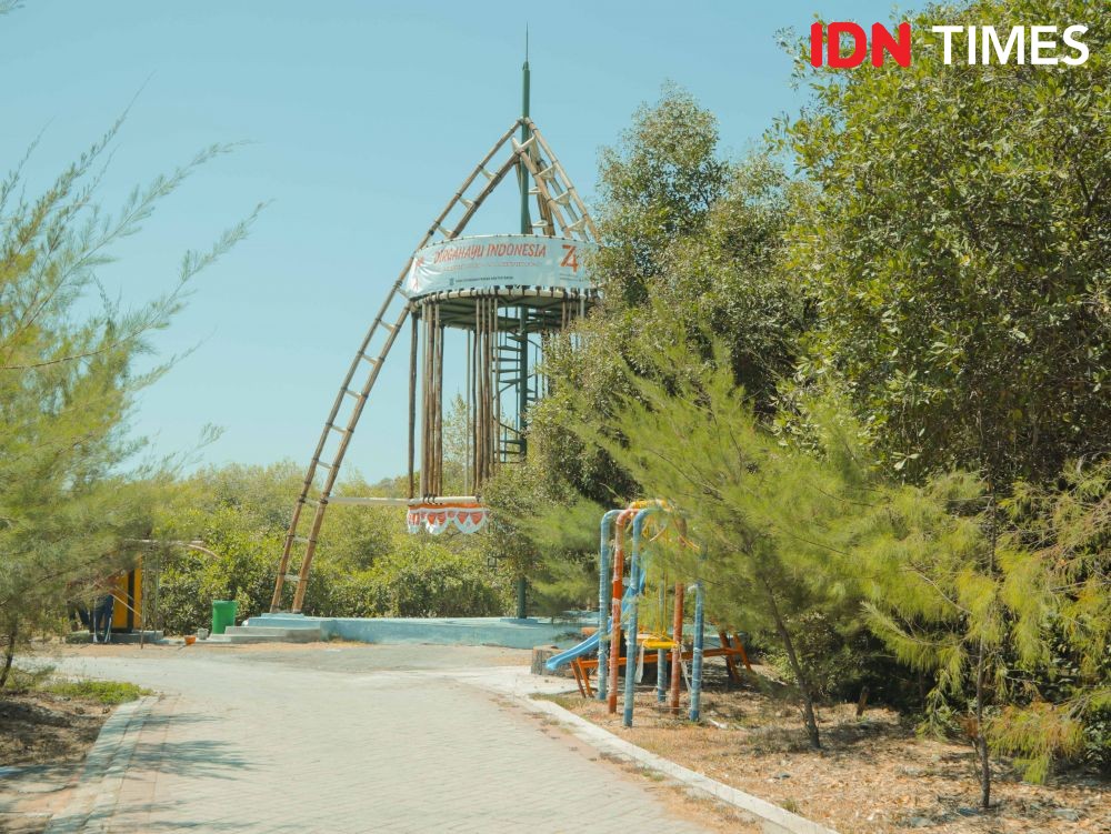 12 Foto Mangrove Gunung Anyar Alternatif Liburan Gratis Di Surabaya