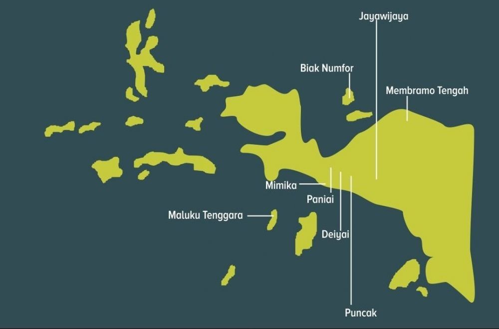 Papua Terus Bergejolak Ini 10 Fakta Unik Di Bumi Cendrawasih