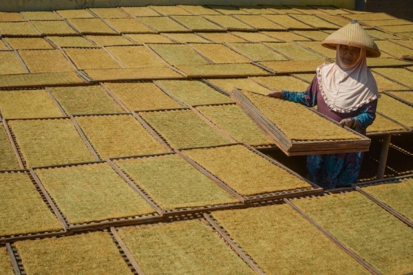 Dinas Pertanian Sumsel Ingatkan Petani Dampak Buruk Pupuk Ilegal