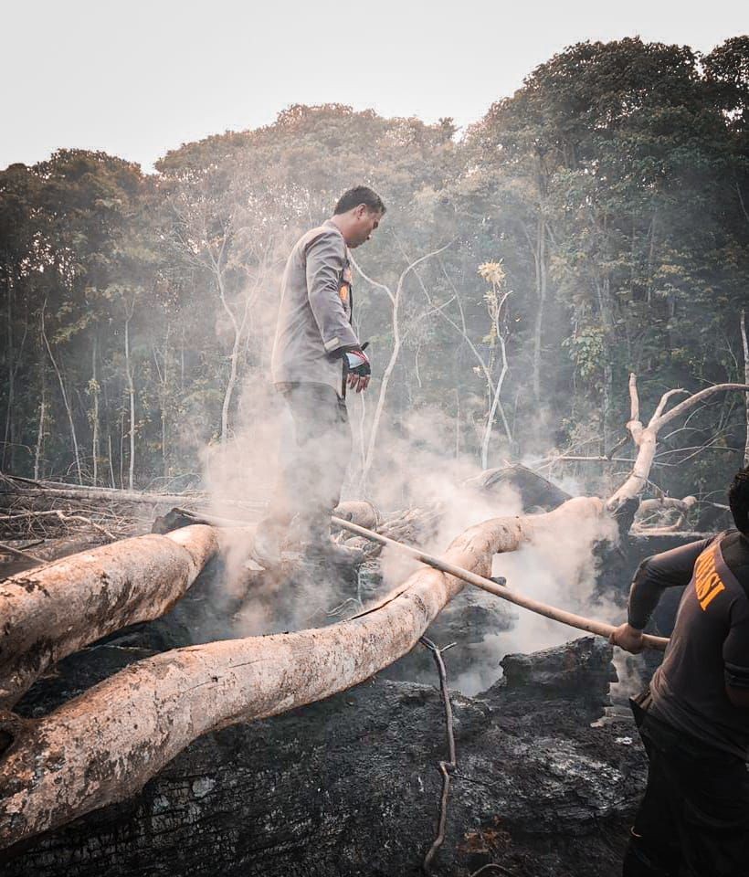 Hutan di Sekitar Danau Toba Terbakar, Diduga karena Puntung Rokok