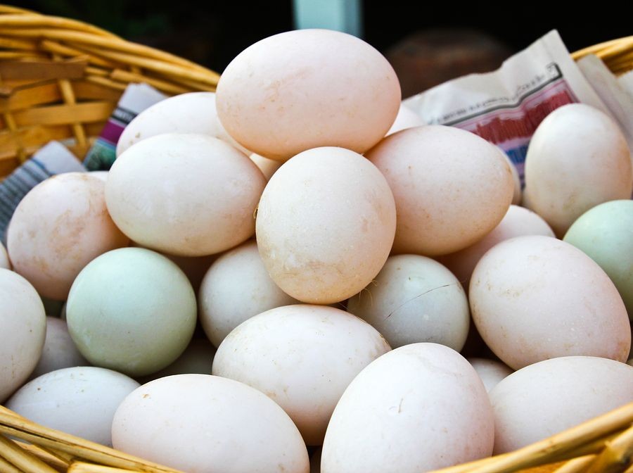 Sesari dan 4 Krat Telur Bebek Raib di Pura Dalem Setra Bugbugan