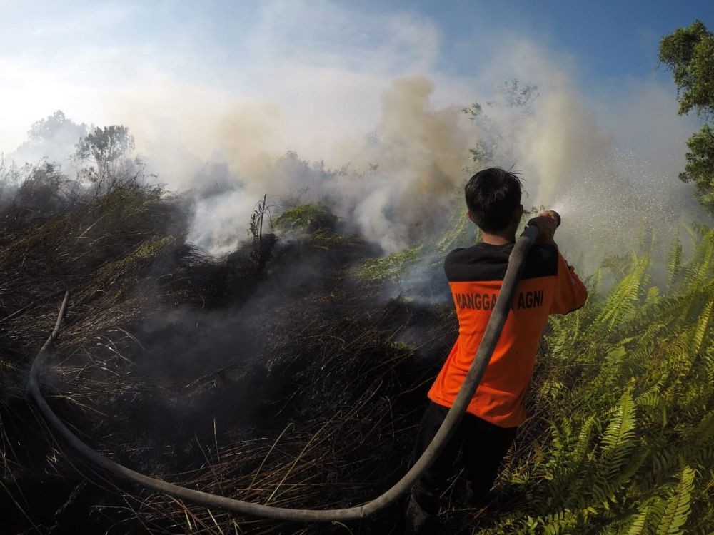 9 Ribu Hektare Gambut OKI Terbakar, Asap Masih Mengarah ke Palembang