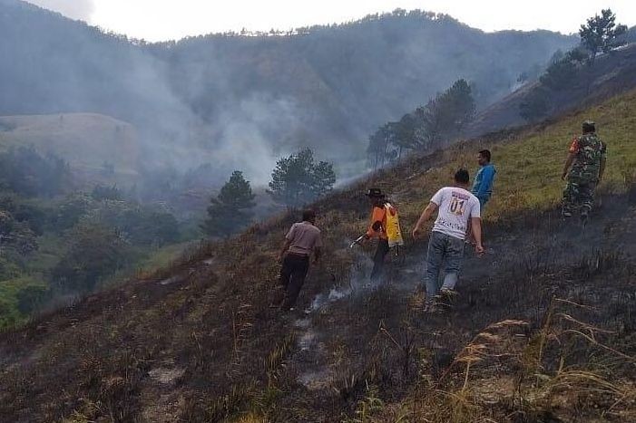 Hutan di Sekitar Danau Toba Terbakar, Diduga karena Puntung Rokok