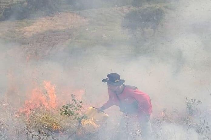 1,5 Hektare Lahan Ogan Ilir Terbakar, 2 Kejadian Karhutla Sepekan