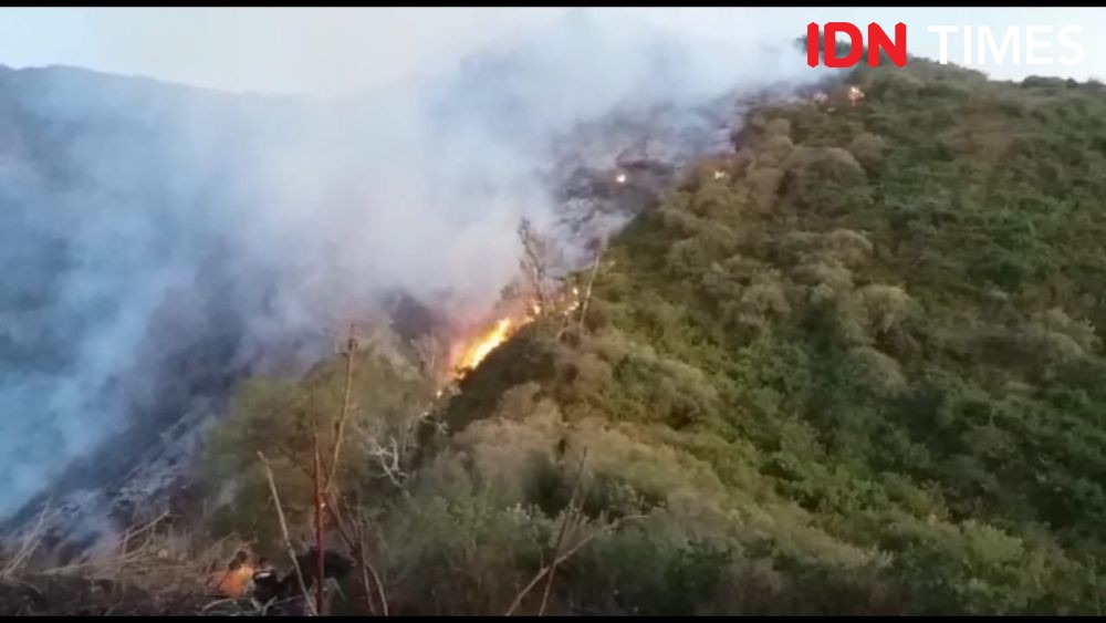 Kebakaran Hutan di Gunung Slamet Meluas, 5 Titik Api di Selatan-Barat