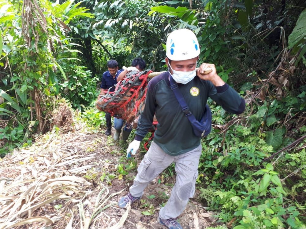 Orangutan Ditemukan Kurus, PLTA Batang Toru dan BKSDA Akan Monitoring