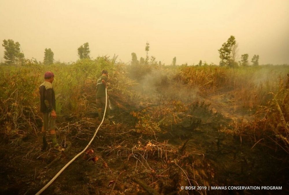 Hutan Lindung Gunung Sumbing Terbakar, 134 Pendaki Dievakuasi