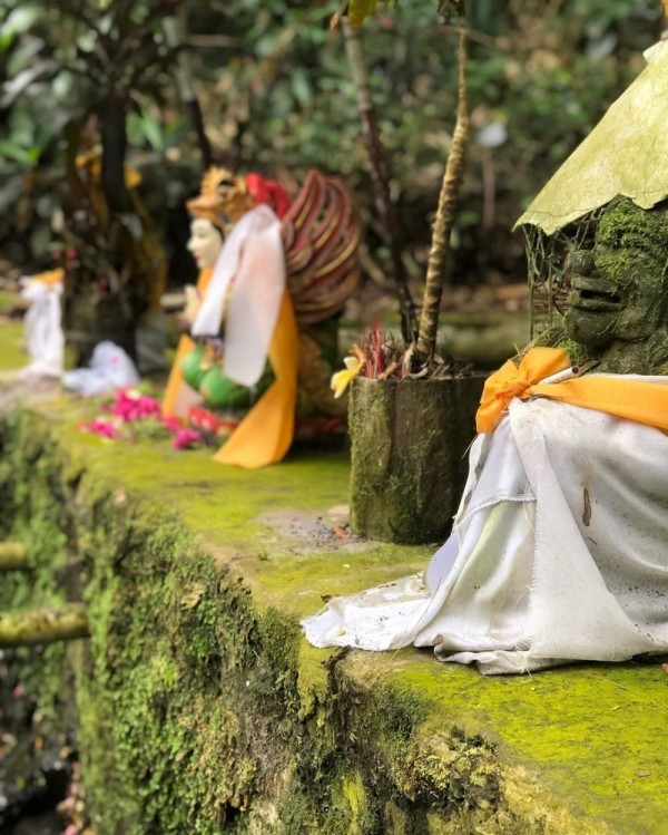 Info Wisata Rowo Bayu di Banyuwangi yang Dikenal Serba Mistis