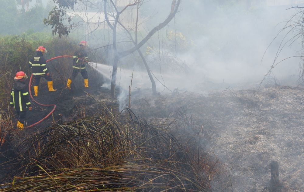 Karhutla Jateng, Data BNPB 2.958 Hektar Hutan dan Lahan Terbakar