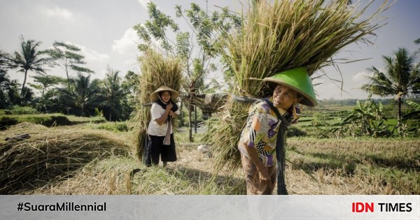 7 Fakta Sejarah Pertanian  di Indonesia Kamu Wajib Tahu 