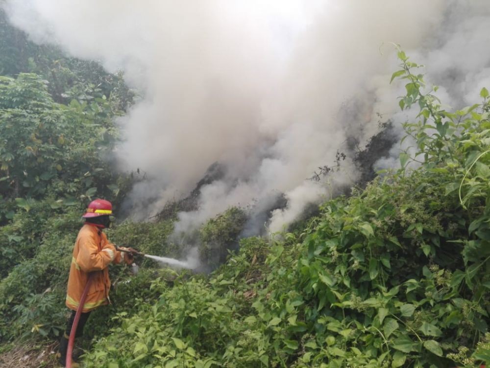 29 Hektare Lahan Terbakar, Polres Balikpapan  Belum Tetapkan Tersangka